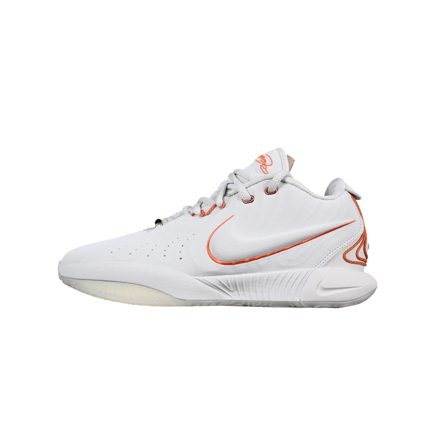 Nike lebron xxi basketball shoes