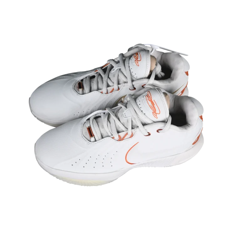 Nike lebron xxi basketball shoes