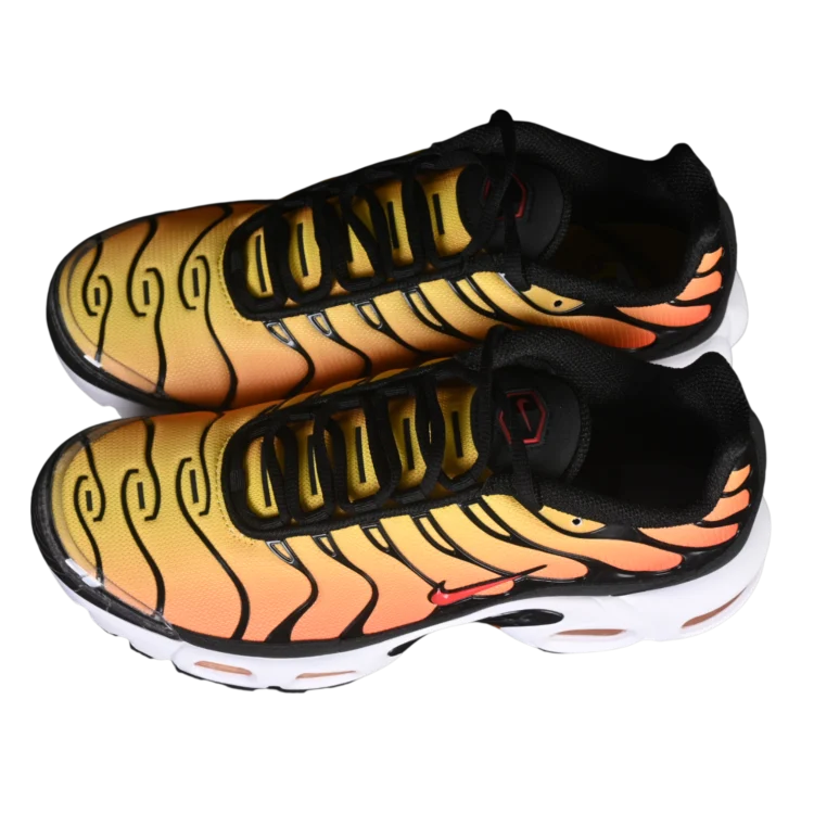 Nike air max plus anatomic shoes