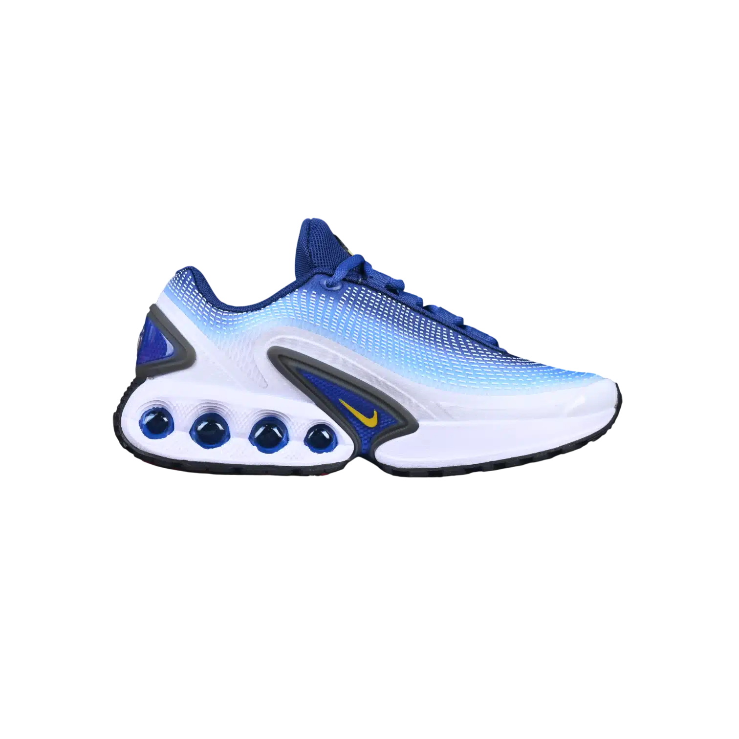 Nike air max dn anatomic shoes